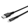Câble USB A Lindy vers Lightning 50cm (Noir)