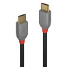 C ble USB 2.0 Type C m le m le, 3A, Anthra Line, 2m
