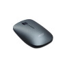 Souris ACER sans fil grise 2.4G  GP.MCE11.01J