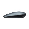Souris ACER sans fil grise 2.4G  GP.MCE11.01J