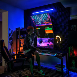 ECRAN 55'' SAMSUNG LS55BG970NUXEN Gaming Odyssey Ark UHD VA Incurvé 1ms 600 cd m