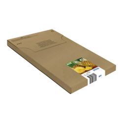 EPSON ENCRE 604 C.M.J.N EASYMAIL
