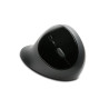 Souris sans fil Kensington Pro-Fit Ergo (Noir)