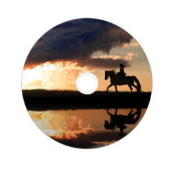 VERBATIM DVD+R 8.5GB 8X SP50