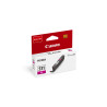 CANON ENCRE CLI-531 M