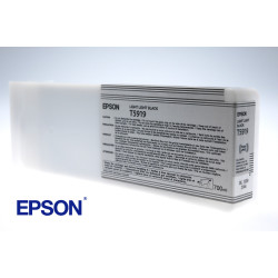 EPSON ENCRE N SP11880 700ML