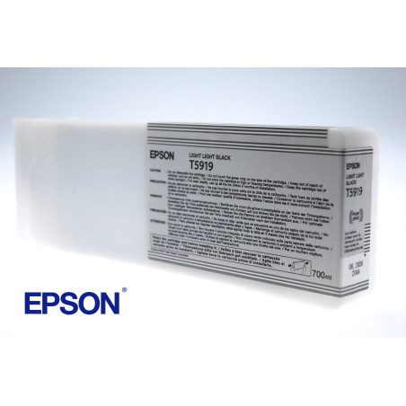 EPSON ENCRE N SP11880 700ML