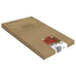 EPSON ENCRE 503 C.M.J.N EASYMAIL