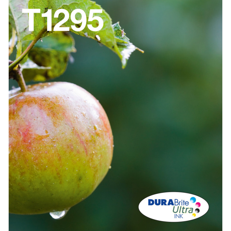 EPSON ENCRE T129 N+3CL EASYMAIL