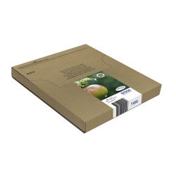 EPSON ENCRE T129 N+3CL EASYMAIL