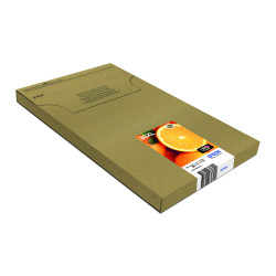 EPSON ENCRE 33XL N.NPH.C.M.J EASYMAI