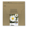 EPSON ENCRE T1806 6CL EASYMAIL