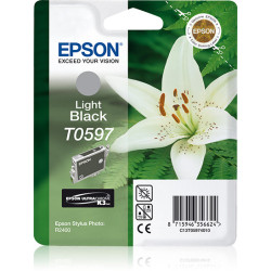EPSON ENCRE K3 G
