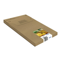 EPSON ENCRE 604XL C.M.J.N EASYMAIL