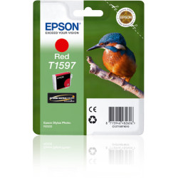 EPSON ENCRE R